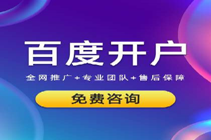 企业SEM服务实战案例解析